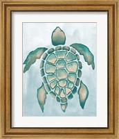 Framed 'Aquatic Turtle I' border=