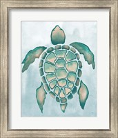 Framed Aquatic Turtle I