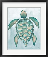 Aquatic Turtle I Framed Print