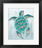 Framed Aquatic Turtle II