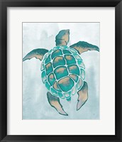 Framed 'Aquatic Turtle II' border=