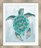 Framed Aquatic Turtle II