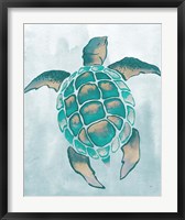 Framed Aquatic Turtle II