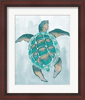 Framed Aquatic Turtle II