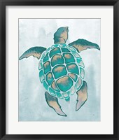 Framed 'Aquatic Turtle II' border=