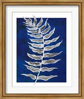 Framed Blue Fern in White Border I