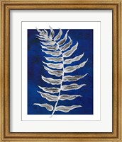 Framed Blue Fern in White Border I