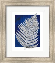 Framed Blue Fern in White Border II