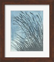Framed Tall Grasses on Blue I