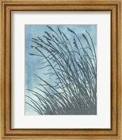 Framed 'Tall Grasses on Blue I' border=