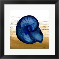 Framed Coastal Blue IV