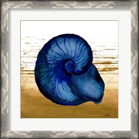 Framed 'Coastal Blue IV' border=