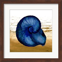 Framed 'Coastal Blue IV' border=