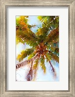 Framed Watercolor Palms II