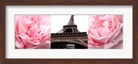 Framed Pink Roses Eiffel Tower