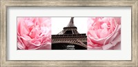 Framed Pink Roses Eiffel Tower
