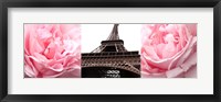 Framed Pink Roses Eiffel Tower