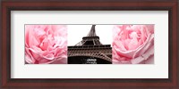 Framed Pink Roses Eiffel Tower