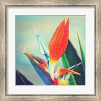 Framed Tropical Floral II