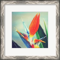 Framed Tropical Floral II