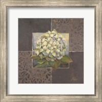 Framed 'Hydrangeas on Brown II' border=