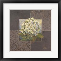 Framed 'Hydrangeas on Brown II' border=