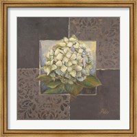 Framed Hydrangeas on Brown II