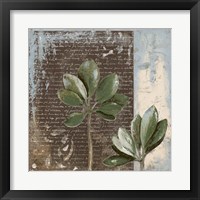 Framed 'Botanica on Blue II' border=