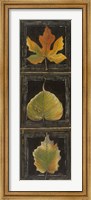 Framed Three Leaves I