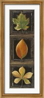 Framed Three Leaves II