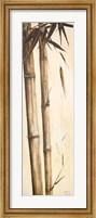 Framed Sepia Guadua Bamboo I