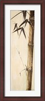 Framed Sepia Guadua Bamboo II