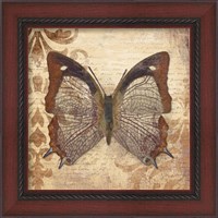 Framed 'Butterfly' border=