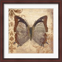 Framed 'Butterfly' border=