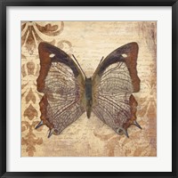 Framed 'Butterfly' border=