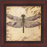 Framed 'Dragonfly' border=
