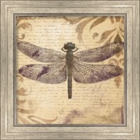 Framed 'Dragonfly' border=