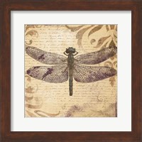 Framed Dragonfly