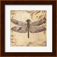 Framed 'Dragonfly' border=