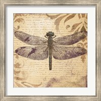 Framed Dragonfly