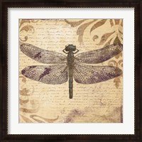 Framed Dragonfly