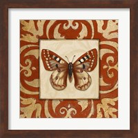 Framed 'Moroccan Butterfly I' border=