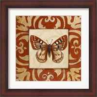 Framed 'Moroccan Butterfly I' border=