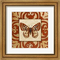 Framed Moroccan Butterfly I