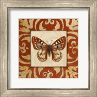Framed Moroccan Butterfly I