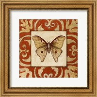 Framed Moroccan Butterfly II