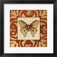 Framed Moroccan Butterfly II