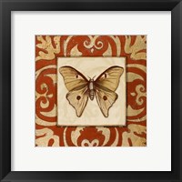 Framed 'Moroccan Butterfly II' border=