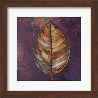 Framed New Leaves I (Purple)