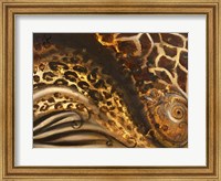 Framed African Touch II